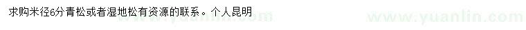 求購米徑6公分青松或濕地松