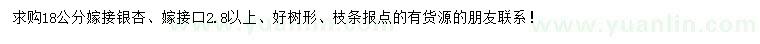 求購18公分嫁接銀杏
