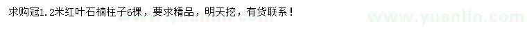 求購(gòu)冠1.2米紅葉石楠