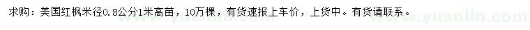 求購米徑0.8公分美國紅楓