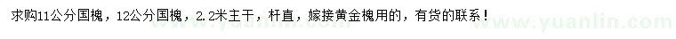求購11公分、12公分國槐