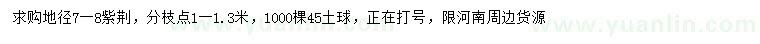 求購地徑7-8公分紫荊