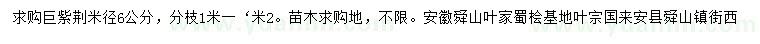 求購米徑6公分巨紫荊
