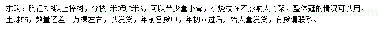 求購胸徑7.8公分以上櫸樹