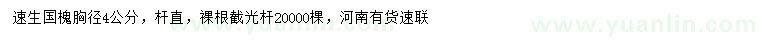 求購(gòu)胸徑4公分速生國(guó)槐