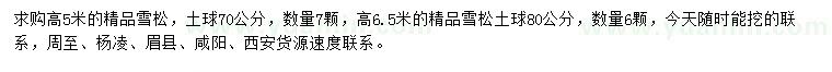 求購高5米精品雪松