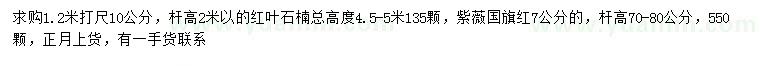 求購1.2米量10公分紅葉石楠、7公分國旗紅紫薇