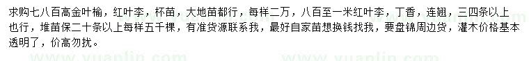 求購(gòu)金葉榆、紅葉李、丁香等