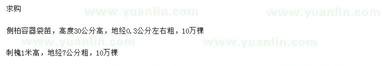 求購(gòu)地徑0.3公分左右側(cè)柏、地徑7公分刺槐