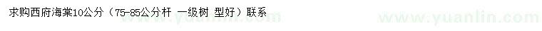 求購10公分西府海棠