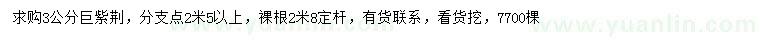 求購(gòu)3公分巨紫荊
