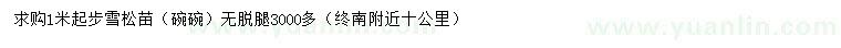 求購1米以上雪松