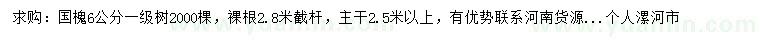求購6公分國槐