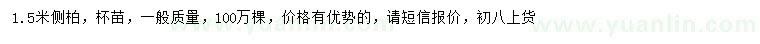 求購1.5米側(cè)柏