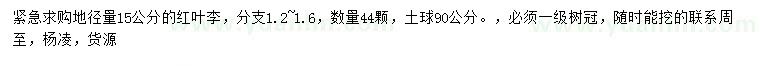求購地徑15公分紅葉李