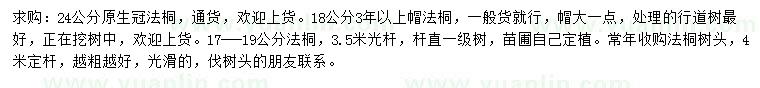 求購法桐