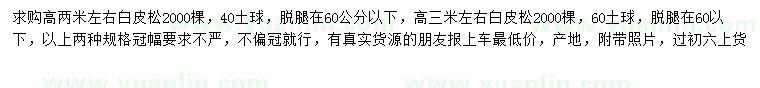 求購高2、3米白皮松