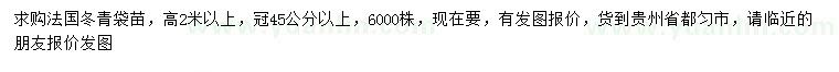 求購高2米以上法國冬青
