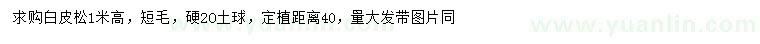 求購(gòu)高1米白皮松