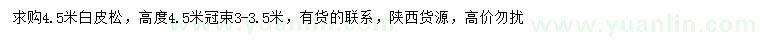 求購4.5米白皮松