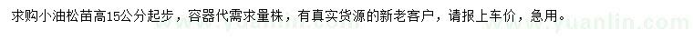 求購(gòu)高15公分及以上小油松苗