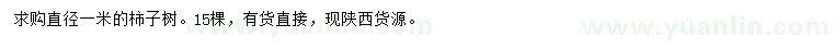 求購(gòu)1米柿子樹