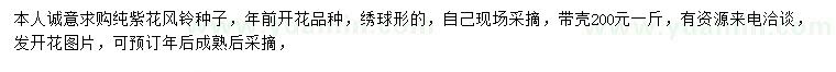 求購純紫花風(fēng)鈴種子