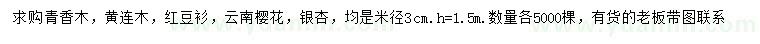 求購清香木、黃連木、紅豆衫等