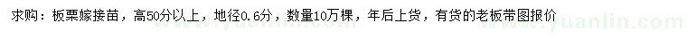 求購(gòu)地徑0.6公分板栗苗