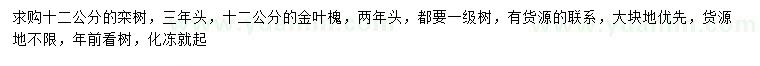 求購12公分欒樹、金葉槐