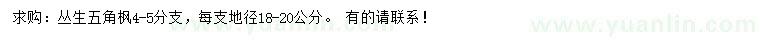 求購4-5分支叢生五角楓
