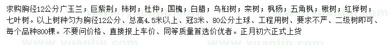 求購廣玉蘭、巨紫荊、柿樹等