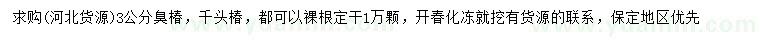 求購3公分臭椿、千頭椿