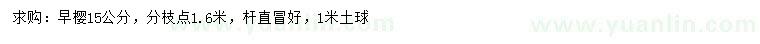 求購(gòu)分枝點(diǎn)1.6米15公分早櫻