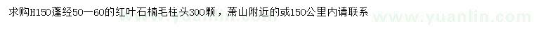 求購高150公分紅葉石楠柱