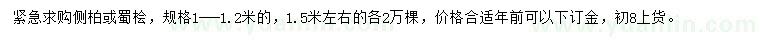 求購1-1.2米側(cè)柏或蜀檜