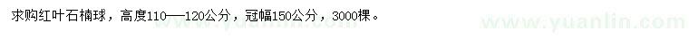 求購高度110-120公分紅葉石楠球
