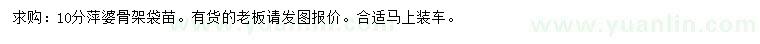 求購10公分萍婆