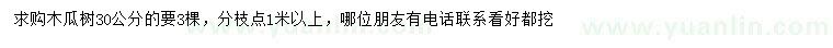 求購(gòu)30公分木瓜樹(shù)