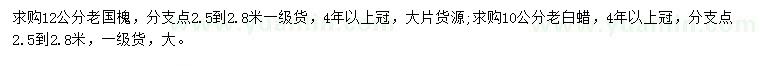 求購(gòu)12公分老國(guó)槐