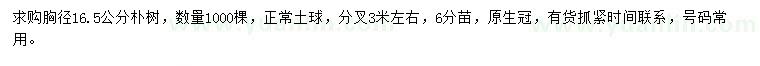 求購胸徑16.5公分樸樹