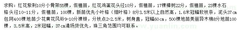 求購紅花紫荊、紅花雞蛋花、樟樹