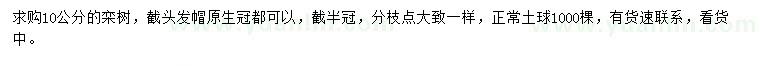 求購(gòu)10公分欒樹(shù)