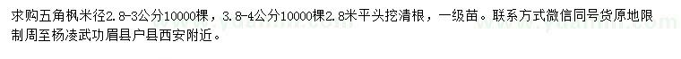 求購米徑2.8-3公分五角楓