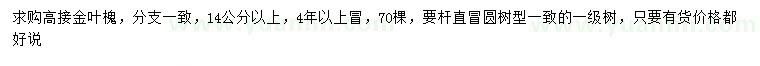 求購14公分以上高接金葉槐