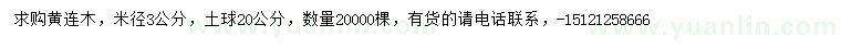 求購米徑3公分黃連木