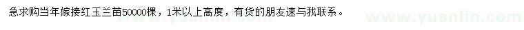 求購高1米以上紅玉蘭苗