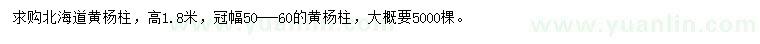 求購(gòu)高1.8米北海道黃楊柱