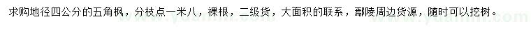 求購地徑4公分五角楓