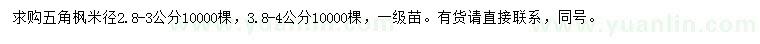 求購米徑2.8-3公分五角楓